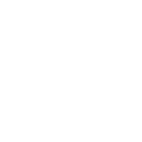 Cliente 13 logo
